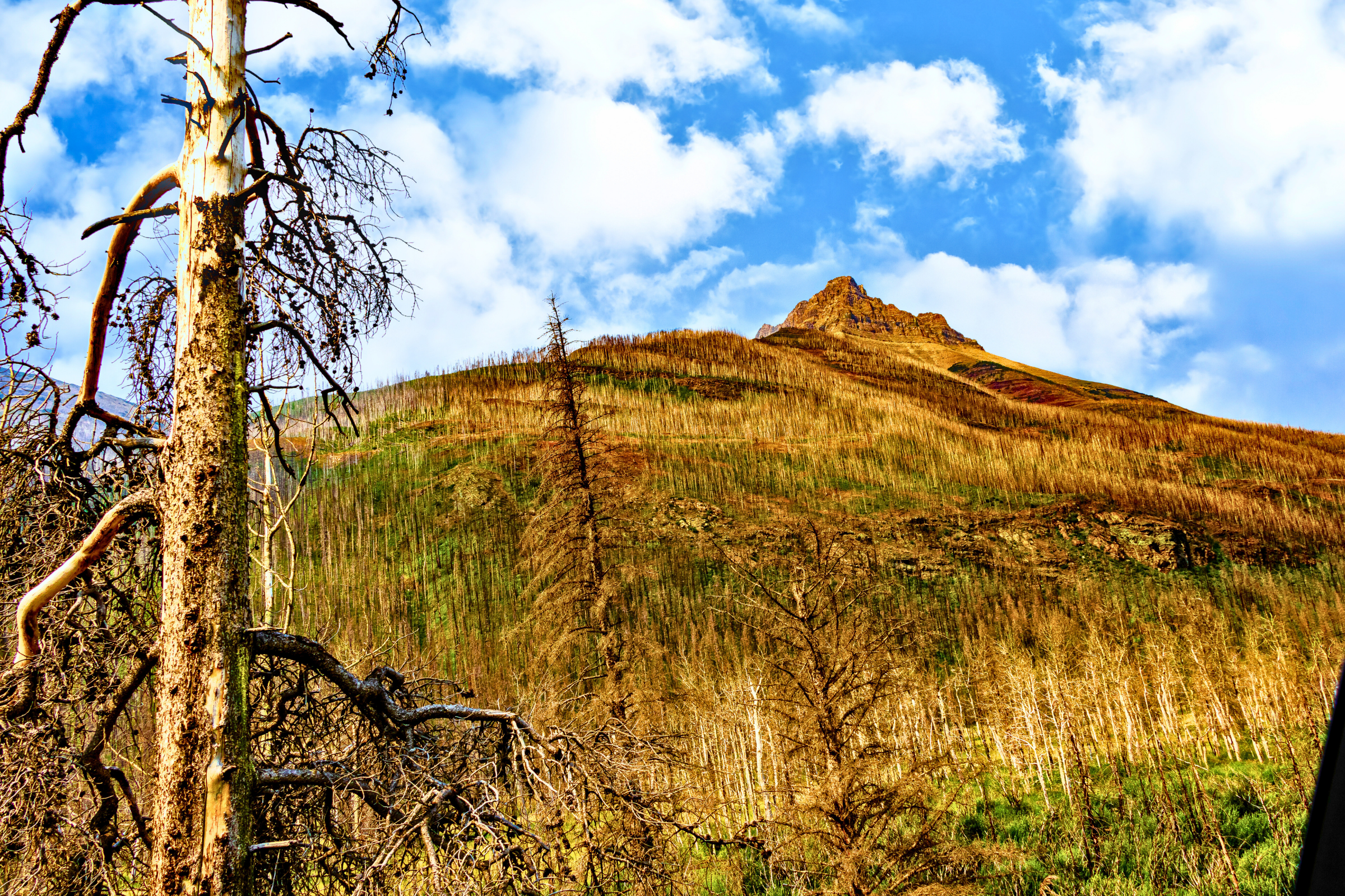waterton lakes national park, alberta (2).webp